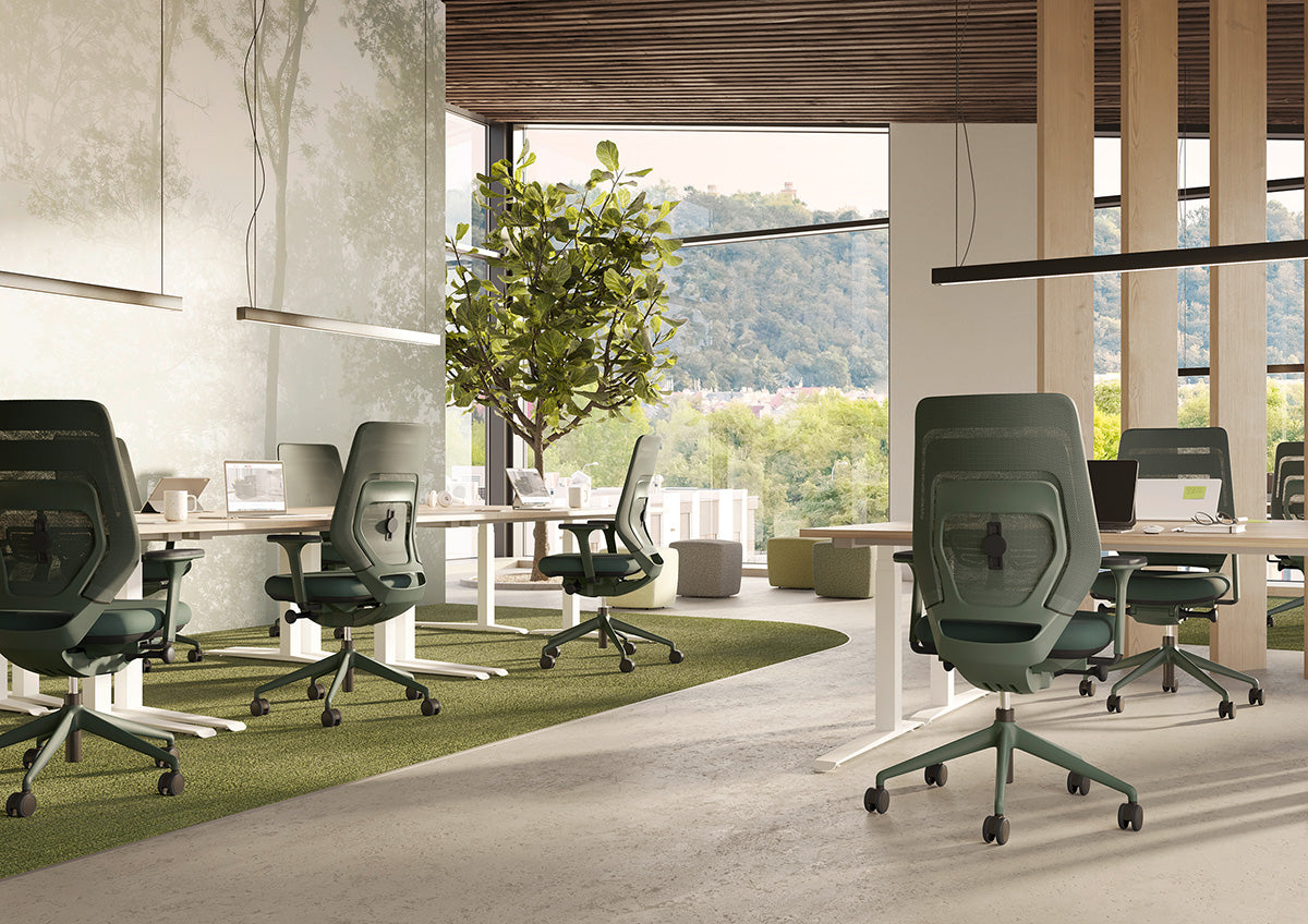 fm Asiento  - ergonomischer Bürostuhl Schweiz