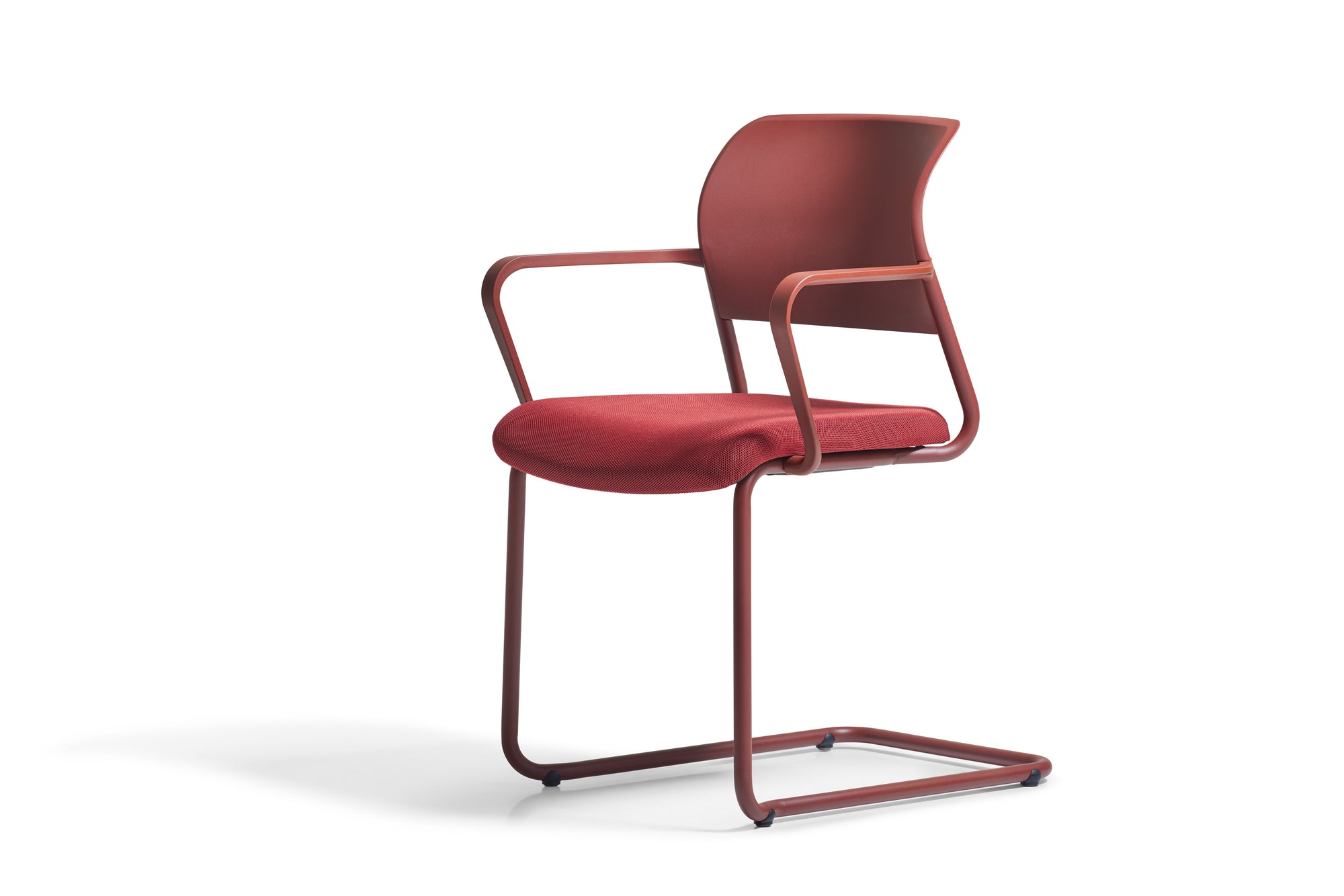 Asiento | Freischwinger – Mehrzweckstuhl von fm Büromöbel (Ansicht 13)