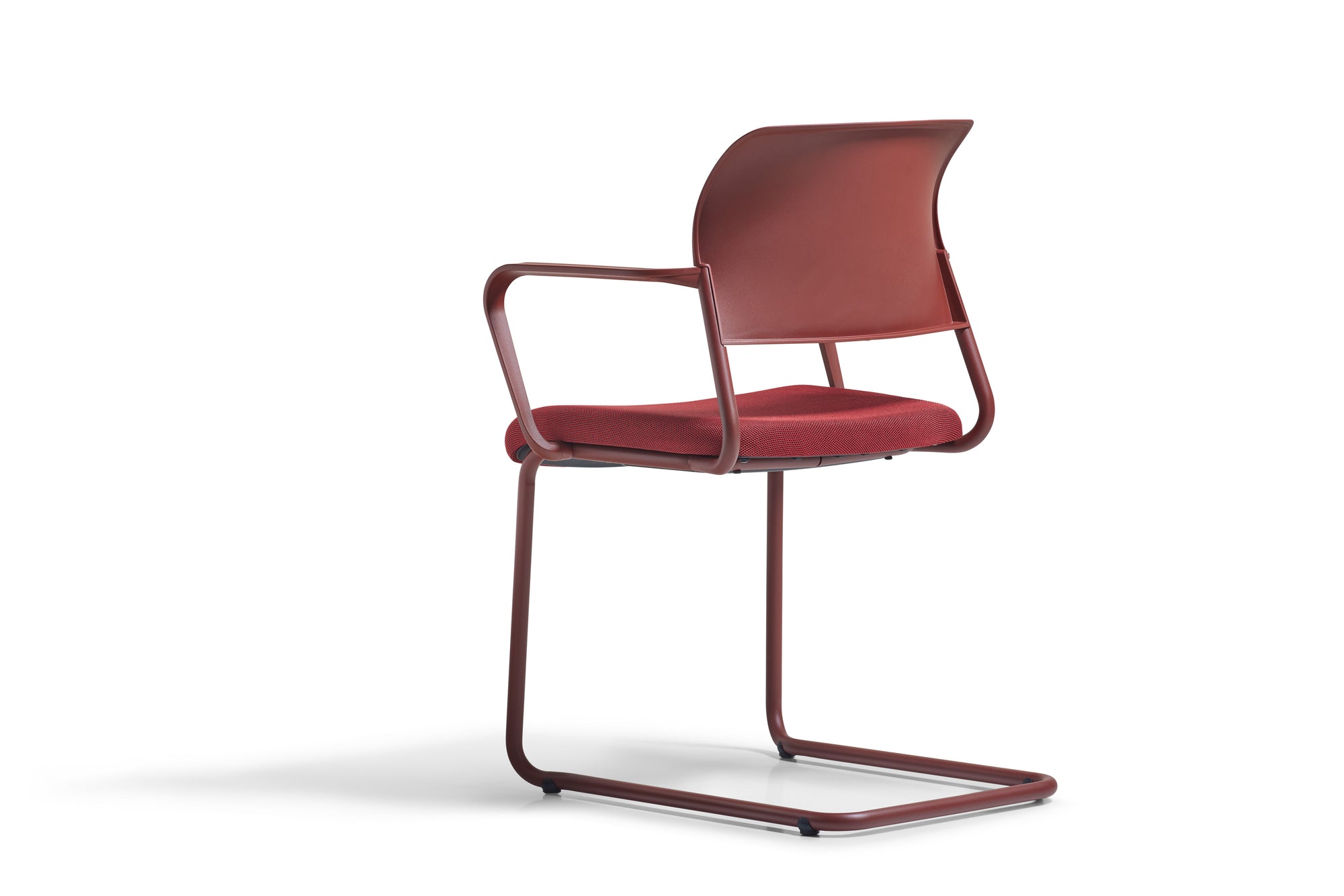 Asiento | Freischwinger – Mehrzweckstuhl von fm Büromöbel (Ansicht 14)