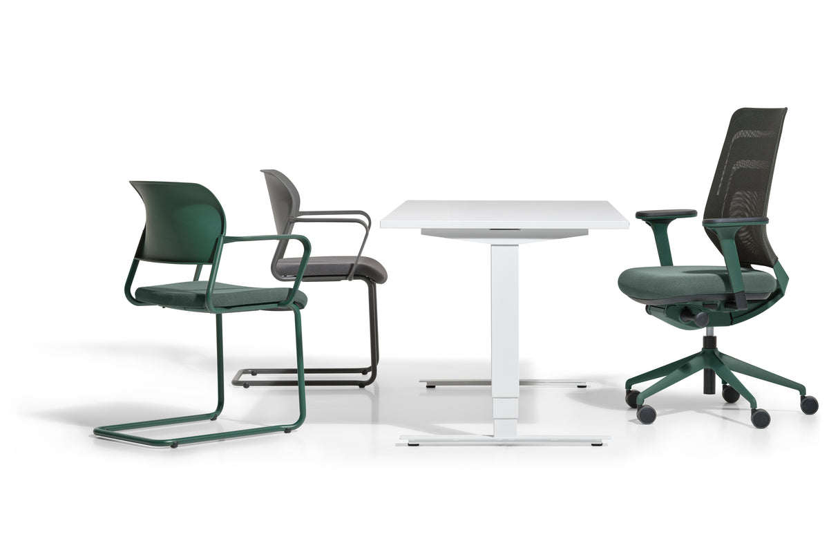 Asiento | Freischwinger – Mehrzweckstuhl von fm Büromöbel (Ansicht 17)