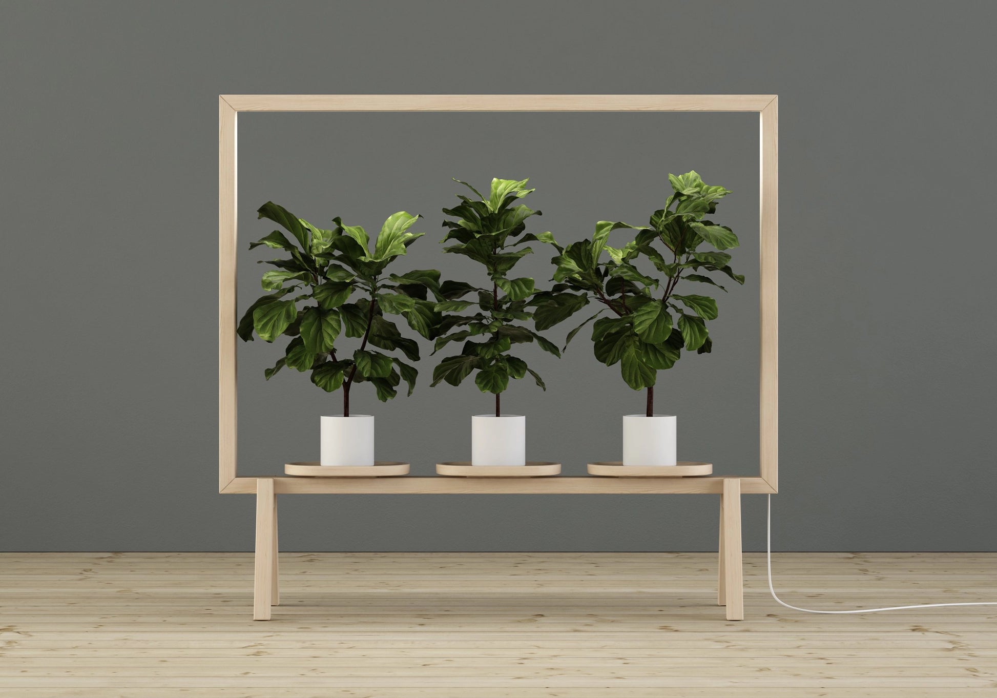 Glimåkra GreenFrame Stellwand, Ansicht 5