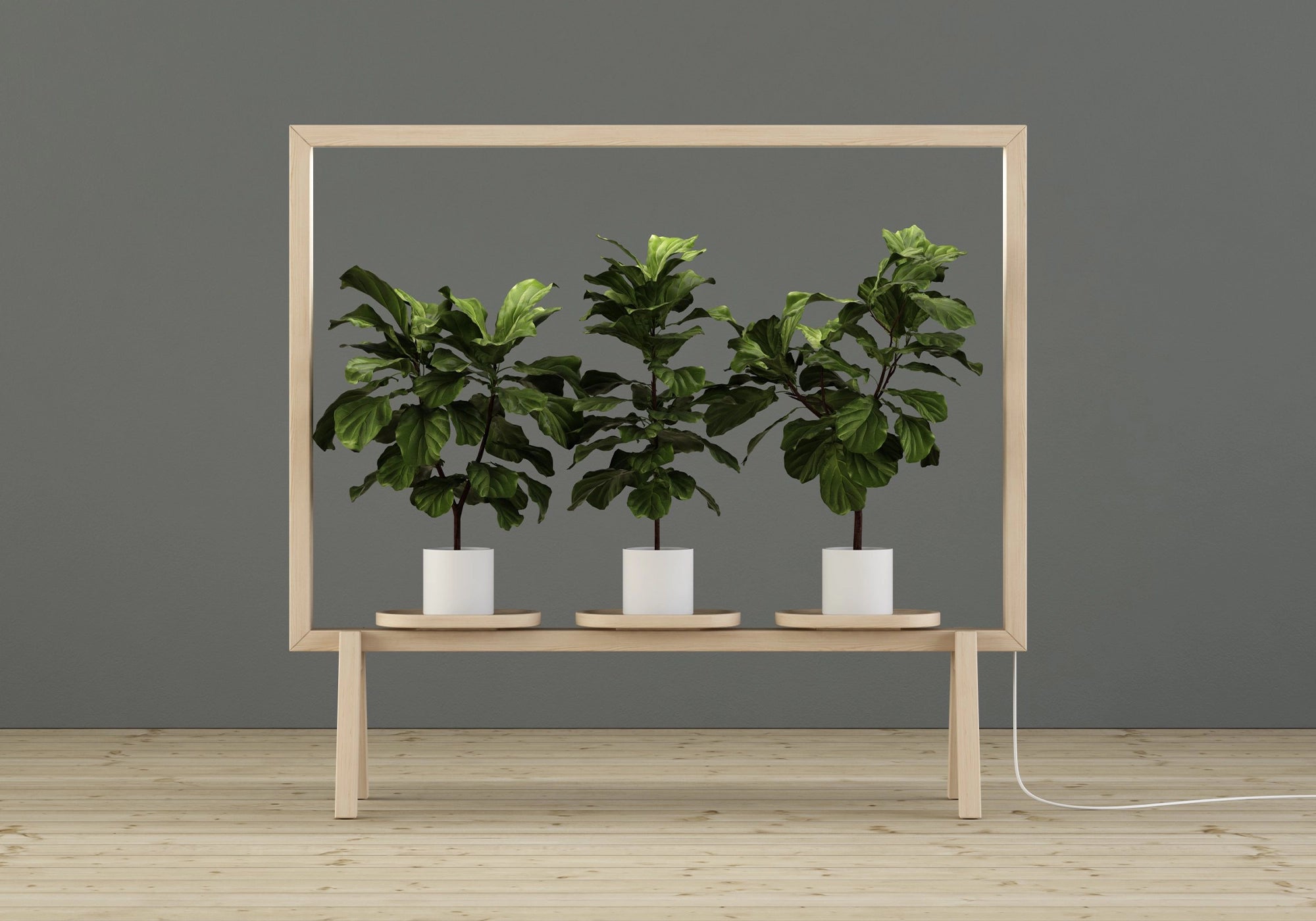 Glimåkra GreenFrame Stellwand, Ansicht 5