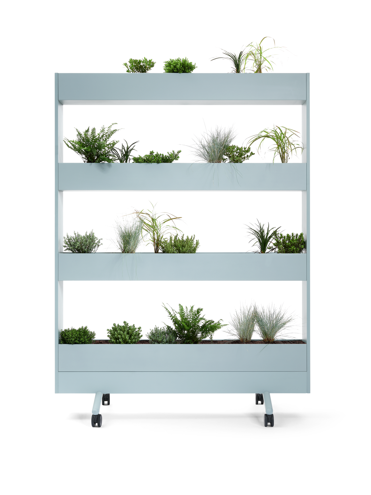 se:lab mobile planter – Pflanzenwand – Mobiles Pflanzregal in Hellblau mit vier Regalböden, bepflanzt mit verschiedenen grünen Pflanzen und Gräsern.