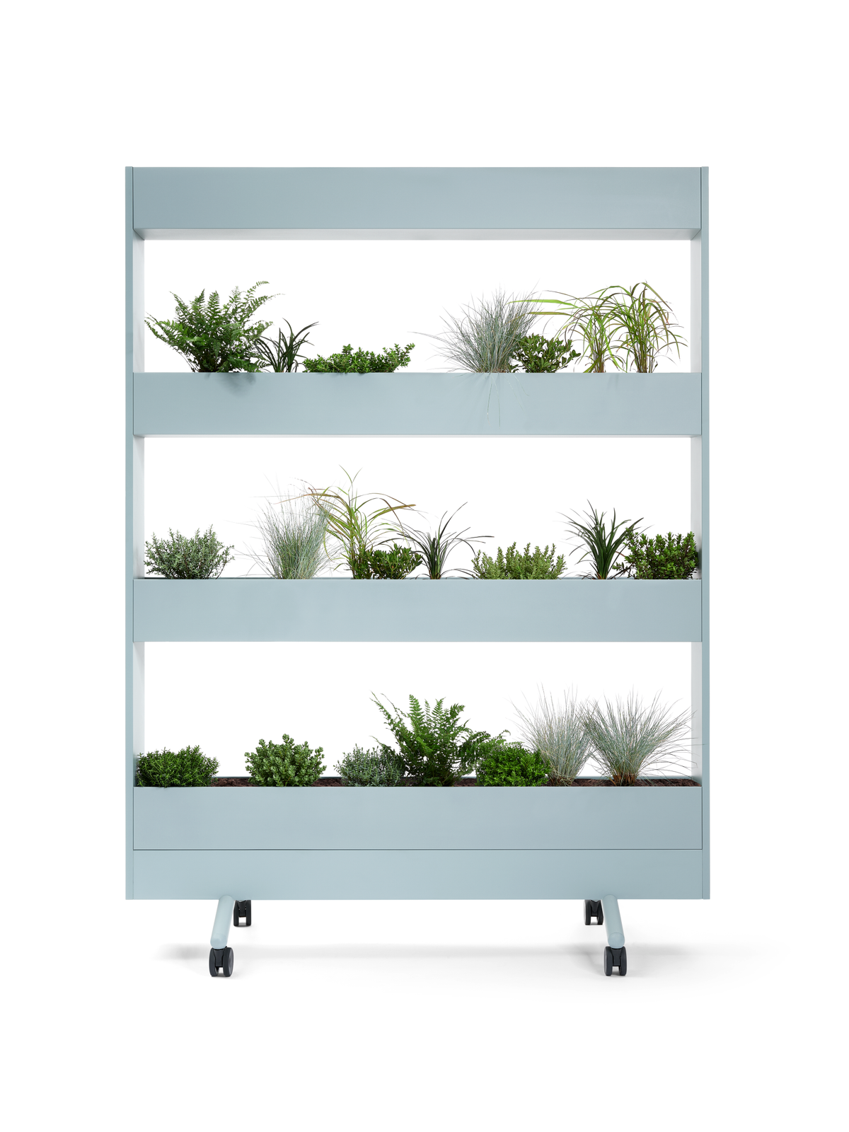 se:lab mobile planter – Pflanzenwand – Mobiler Pflanzenregal mit vier abgeteilten Fächern, bepflanzt mit verschiedenen grünen Pflanzen, in hellblauer Farbe.