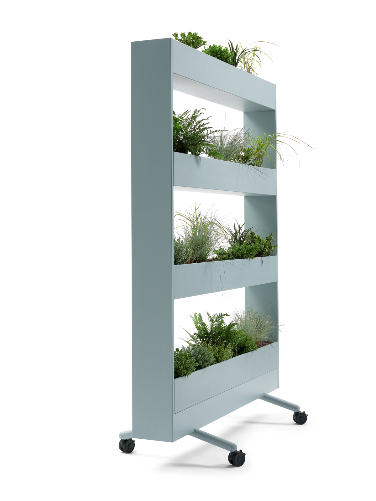 se:lab mobile planter – Pflanzenwand – Mobiler Pflanzenständer in blauer Farbe mit vier Regalfächern und verschiedenen Pflanzen. Ausgestattet mit Rollen.