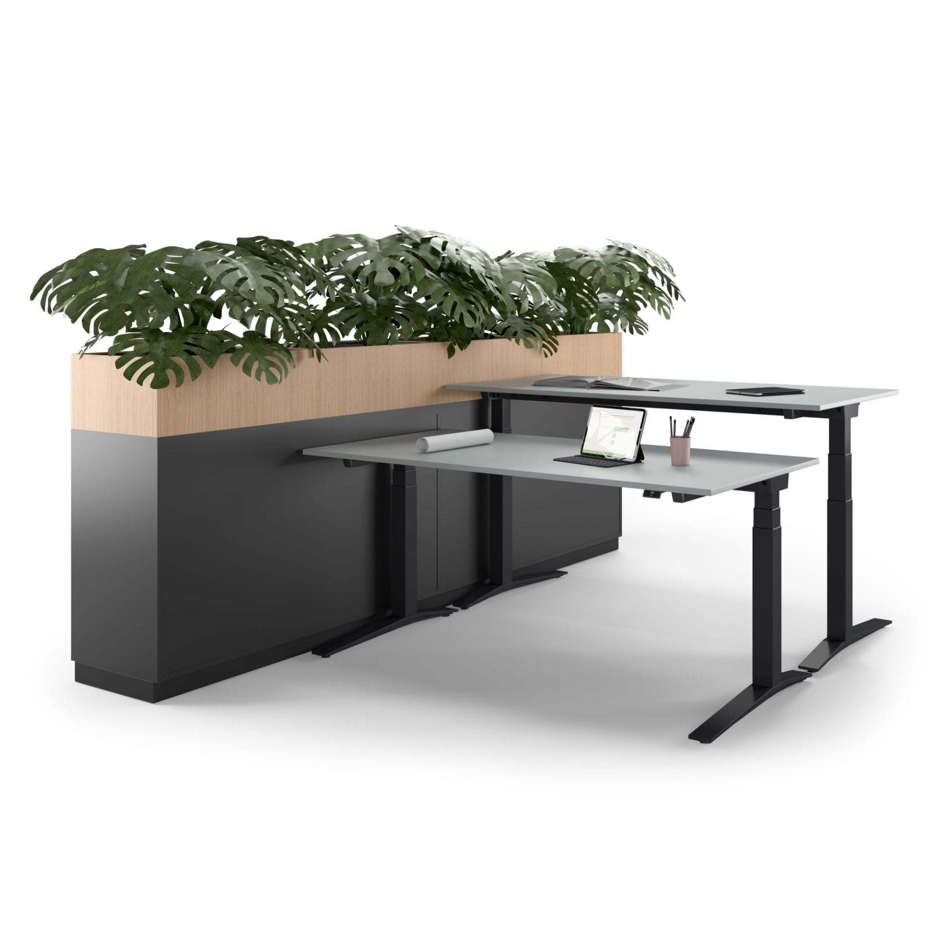 Assmann Canvaro Sitz-Steh-Schreibtisch – primovero.ch