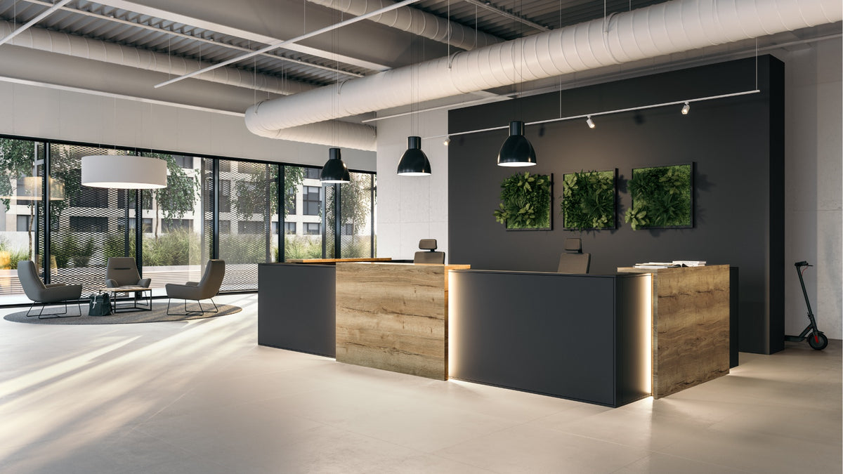 Consento Livorno von Assmann, Ansicht 4