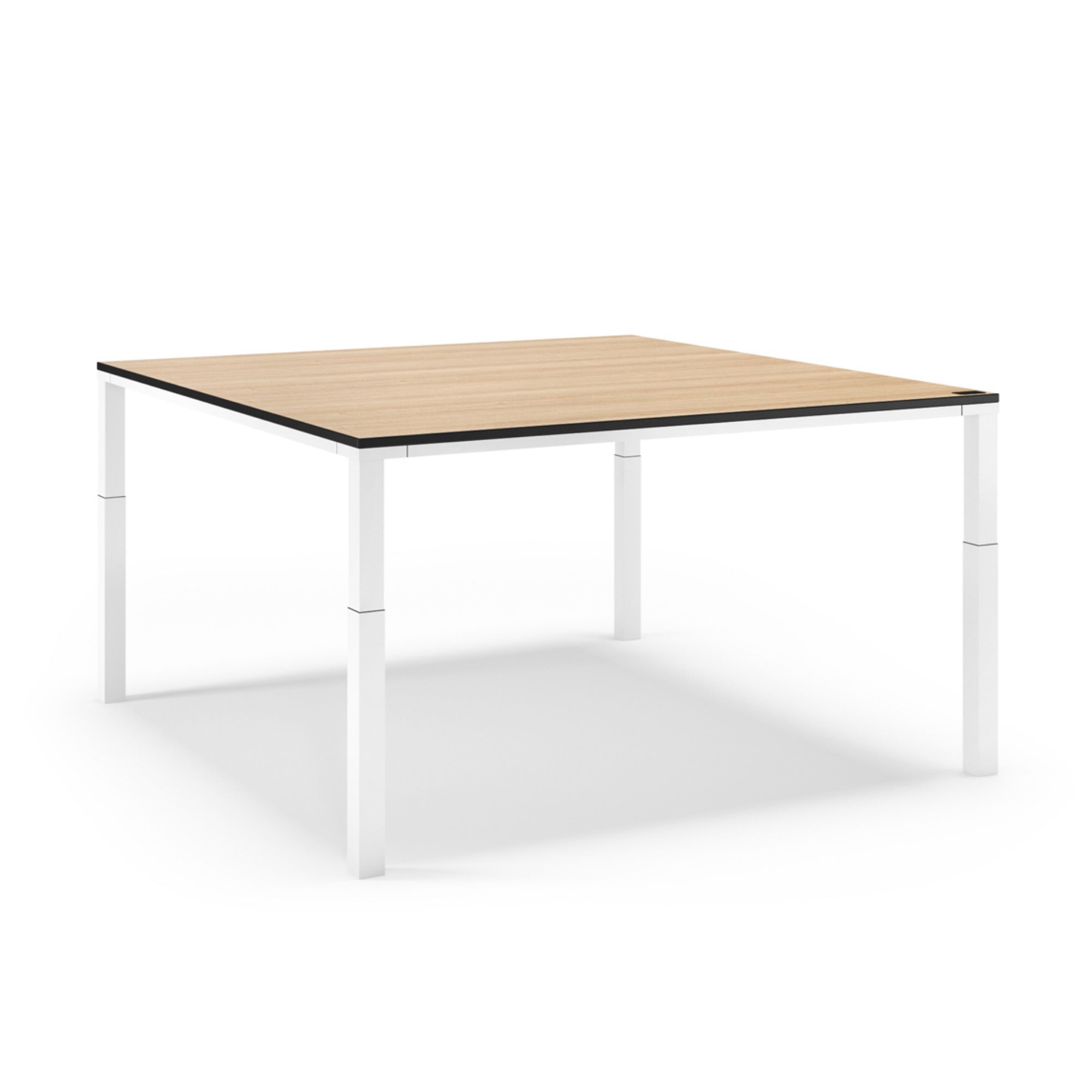 Assmann Plaza – primovero.ch