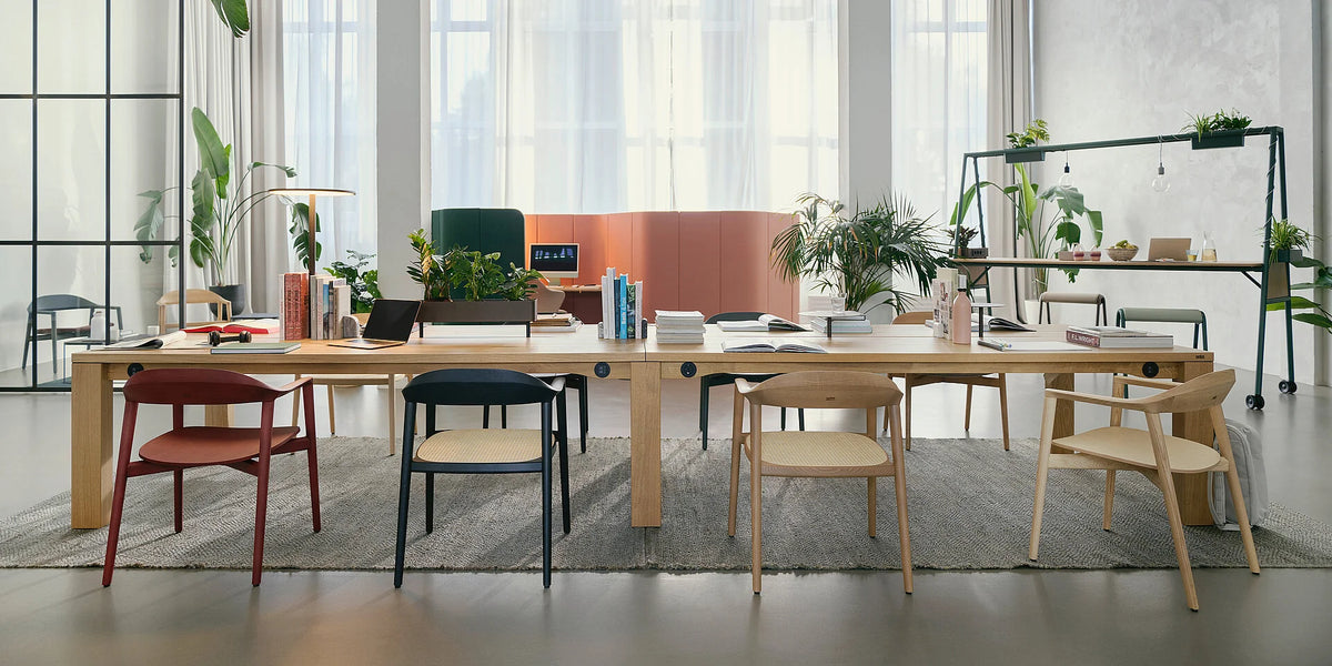 se:café table – Team-Tisch – Holztisch mit mehreren Stühlen in verschiedenen Farben, Pflanzen im Raum, grosse Fenster mit Tageslicht.