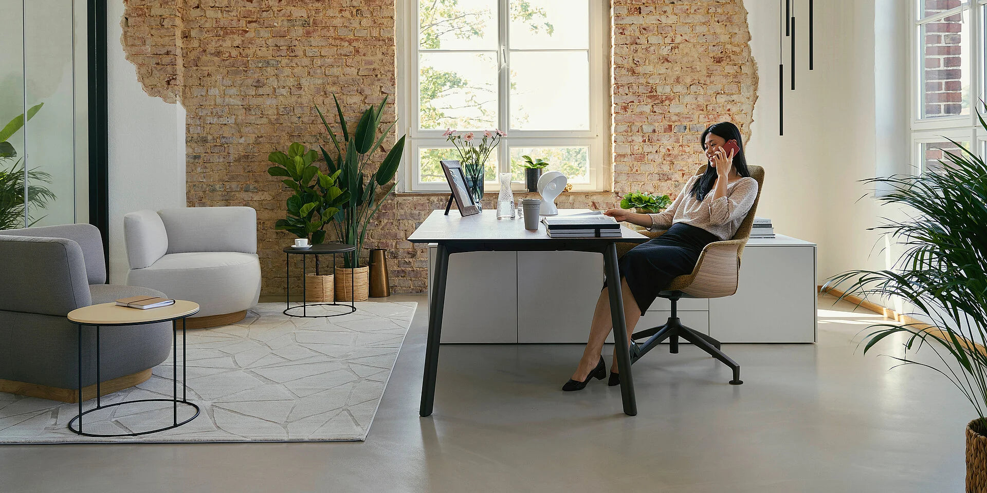 se:vision desk & storage