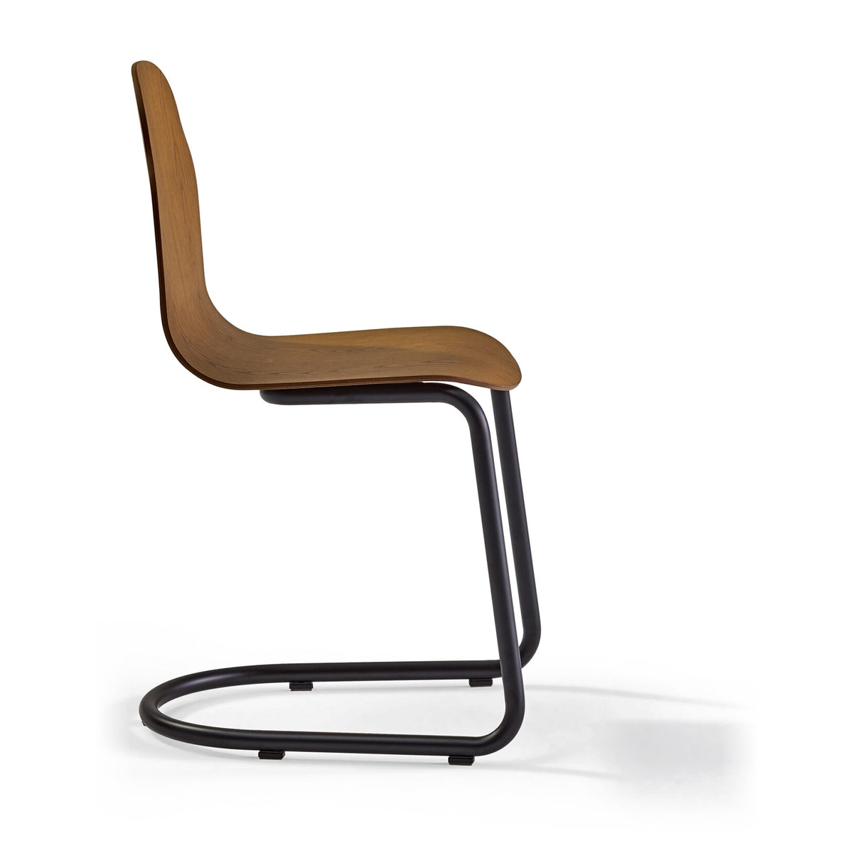 Sancal Body Freischwinger, Schale Esche in Nussbaum gebeizt, Gestell schwarz, Seitenansicht