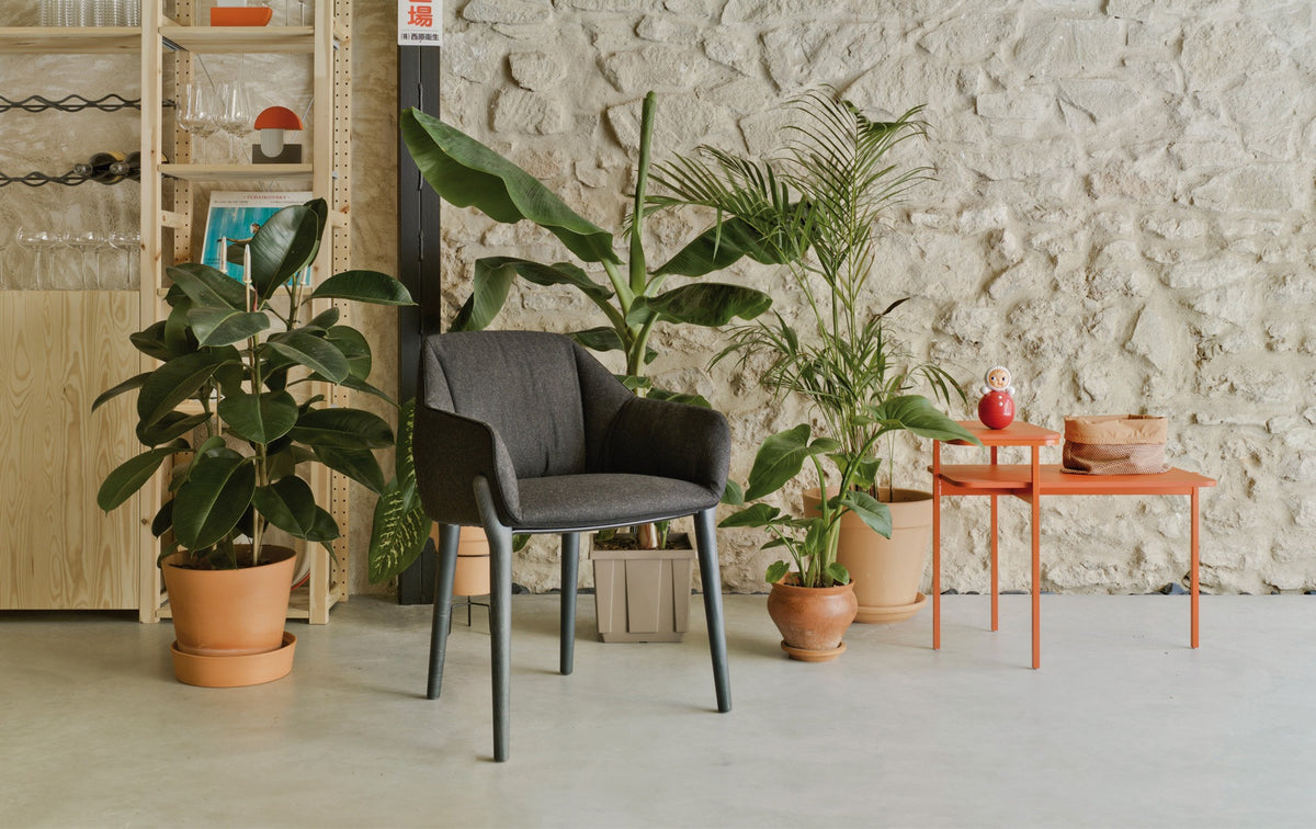 Sancal Nido Stuhl in Anthrazit mit dunklen Holzbeinen vor einer Natursteinwand mit Pflanzen