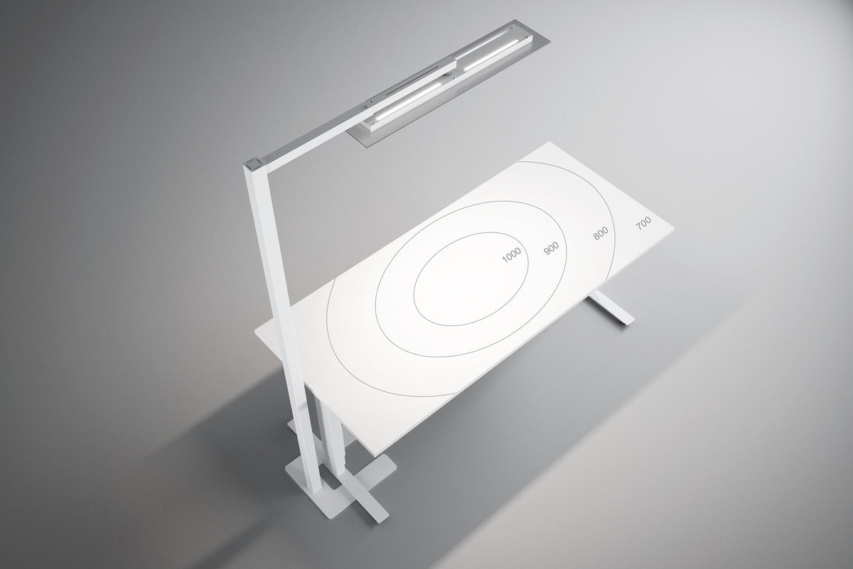 Ausbauleuchte Twinbase | Stadio | LED DUO Ausleuchtung | konfigurierbar - Primo Vero